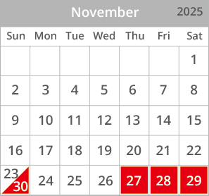 202511